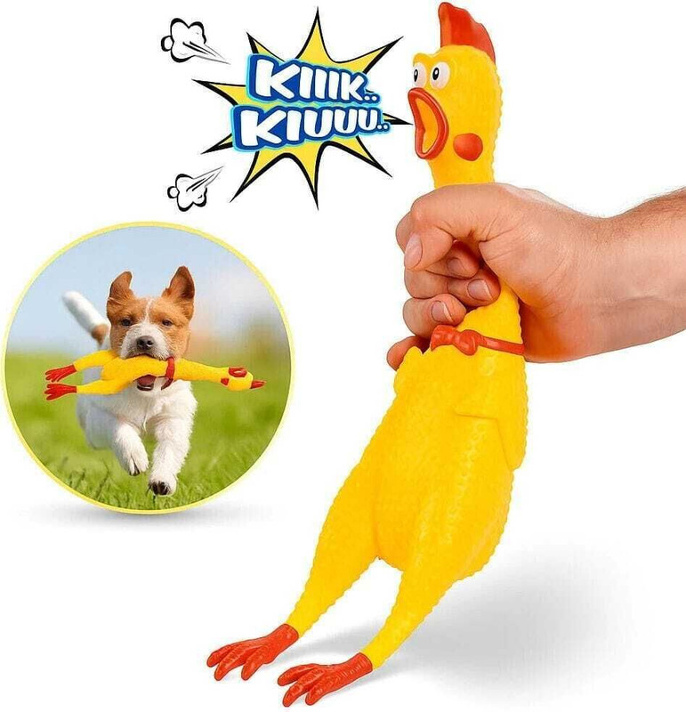 vrindavaniprimrose Large Squeaky Rubber Chicken Dog Chew Toy for Dogs & Puppies | Interactive Toy Rubber Rubber Toy, Training Aid, Soft Toy, Squeaky Toy For Dog & Cat