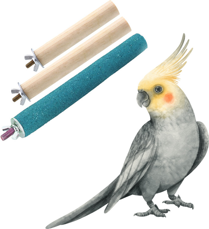 Sage Square Wood Perch Set of 4, 6 & 8 inches for bird play, exercise - For parrot, budgies Wooden Perch, Training Aid, Stick For Bird