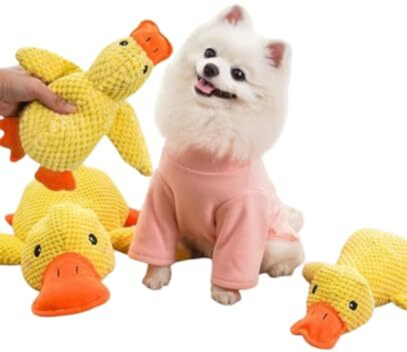 pareek Soft Chew Toy for Dogs & Puppies Plastic Chew Toy For Dog