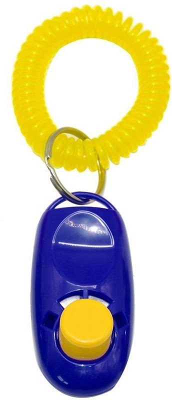 Sage Squaree Plastic Training Aid For Bird