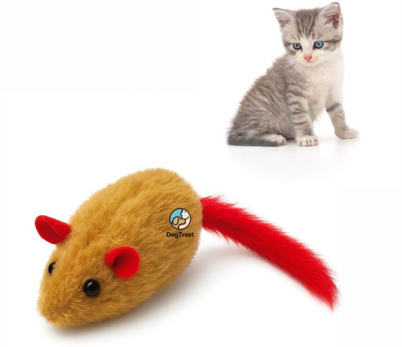 DogTrust Real Fur Mouse Toy Feather Tail Kittens for Hunting (Random 1 Pcs) Wool Plush Toy, Soft Toy, Squeaky Toy For Dog & Cat