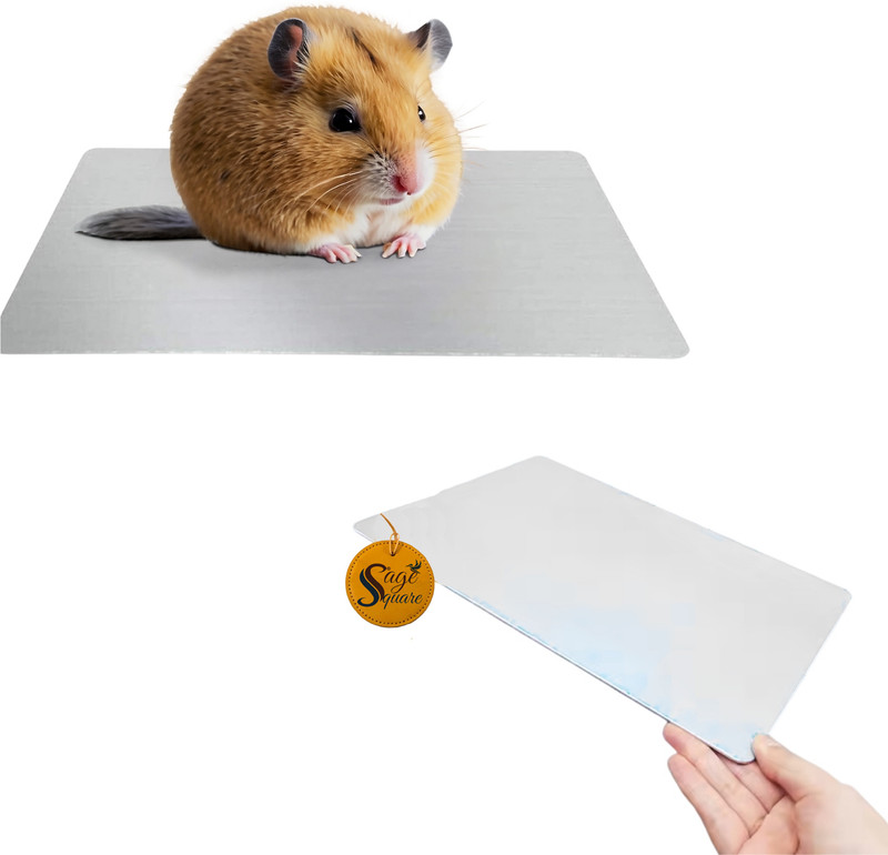 Sage Square Aluminium Cool Plate for Hamsters – Summer Heat Relief for Small Pets (4×8cm) Aluminium Training Aid For Hamster