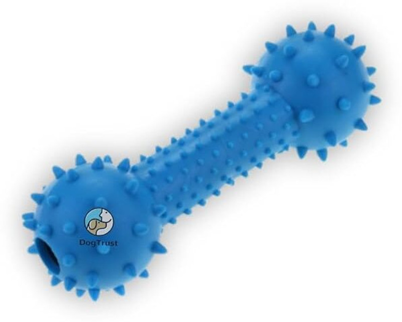 DogTrust Chew Toys for Dogs | Ideal Interactive Dog Toy for All Breeds Rubber Bone For Dog