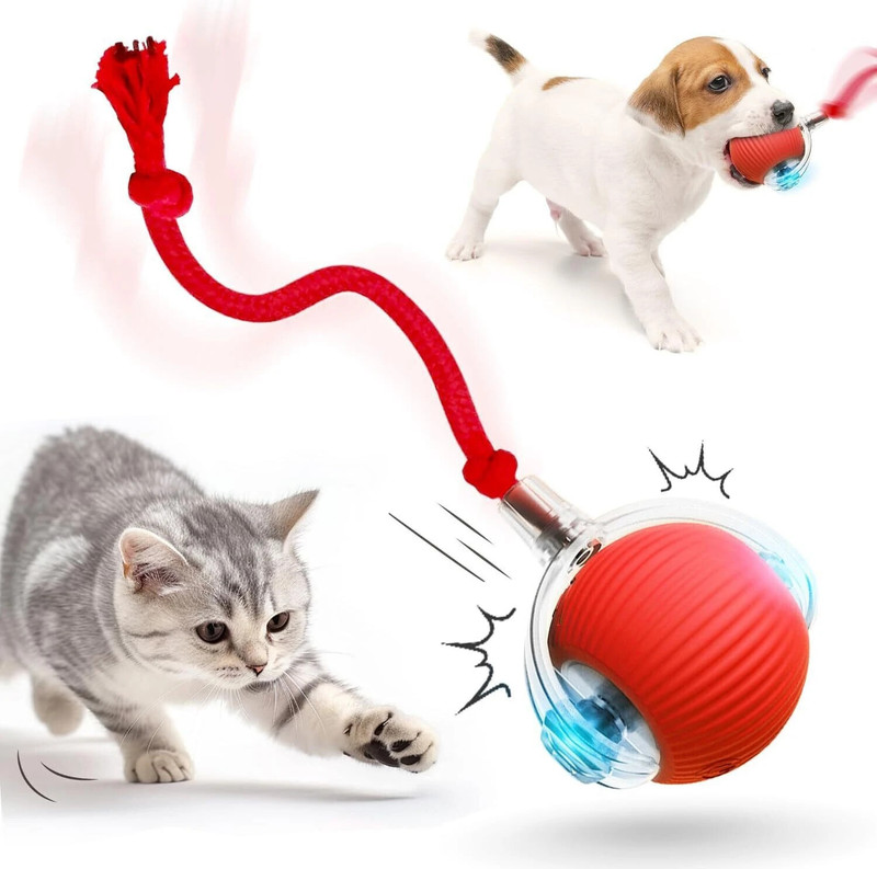 CARTSPACE Electric Automatic Rolling Moving Rechargeable Self Play Stimulation Toy Silicone Ball, Soft Toy For Dog & Cat