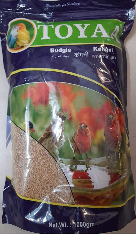 Maw & Paw Parrots Wizard Kangni Seed, Dry New Born, Adult, Young, Senior Bird Food Brass Stick For Bird