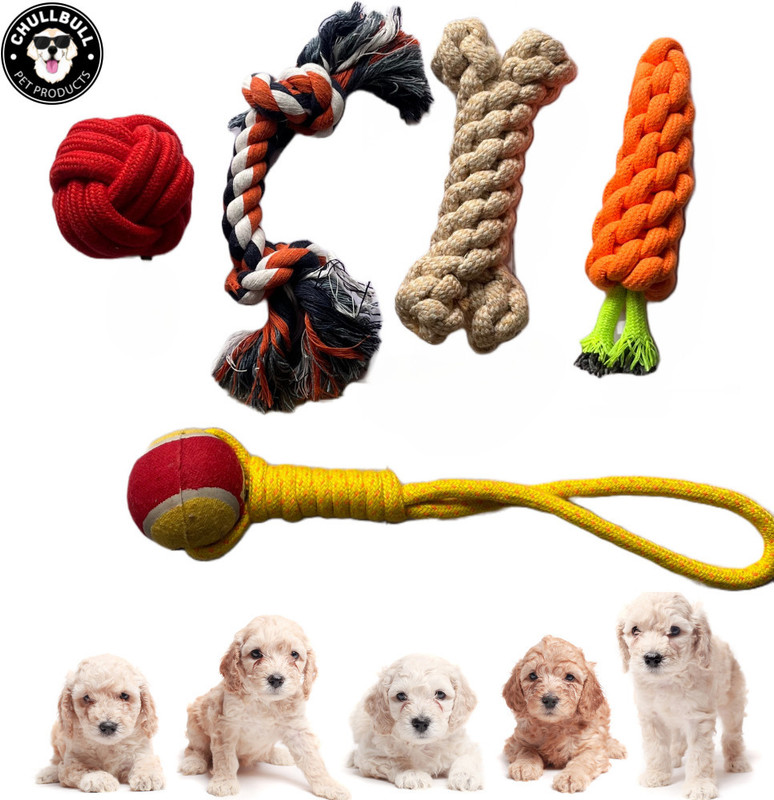 PETZLUV YOUHAVEDEAL Toys for Puppies & Medium Dogs Toys | Color May Vary | Rope Ball Toy Cotton Ball, Tug Toy, Fetch Toy, Training Aid, Chew Toy For Dog & Cat