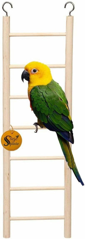 Sage Squaree Wooden Training Aid, Stick, Tough Toy For Bird