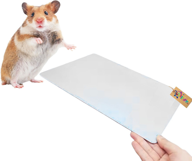 Sage Square Aluminium Training Aid For Hamster