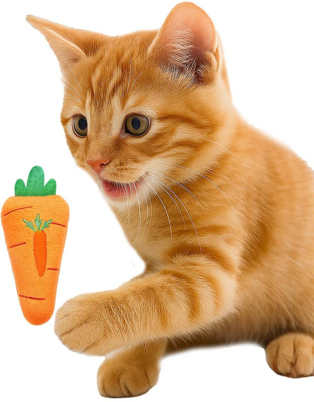 Petbabas Polyester Chew Toy For Cat