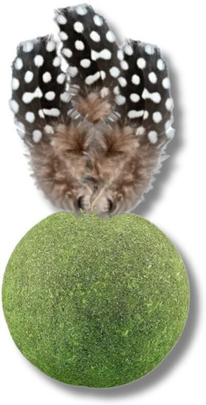 Petsoft Catnip Shuttlelock Mint Balls feather Lick Treat, Natural Teeth Cleaning Toy Earthenware Treat Dispensing Toy For Cat