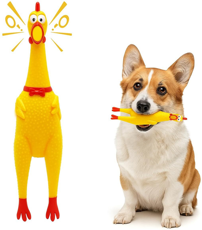 Rvpaws Rubber Squeaky Cum Chew Chicken Interactive Toy for Dog, Puppy Rubber Squeaky Toy For Dog & Cat