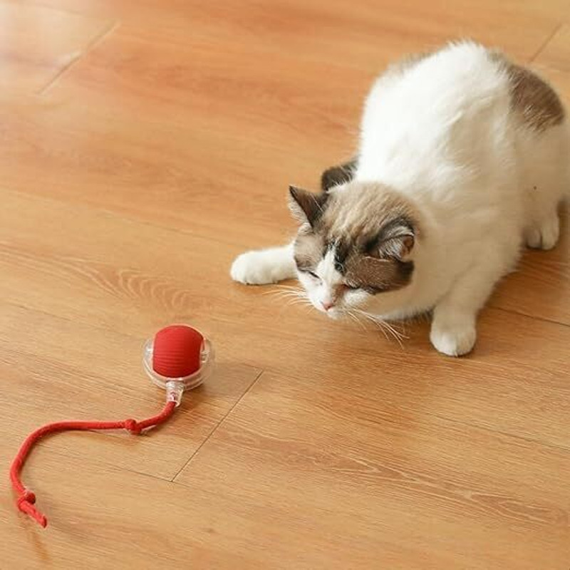 Homvora Rolling Pet Ball Cat Toys for Indoor Cats Smart Silicone Rolling Ball Silicone, Plastic Ball For Dog & Cat