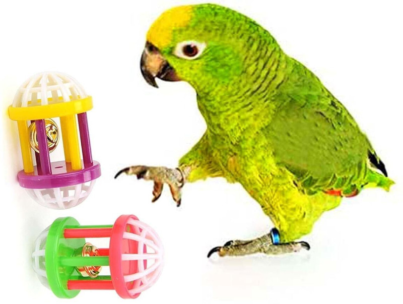 DCM PET MART Hollow Rolling Bell Ball Parrot Balls Toy Pet Bird Toy Plastic Chew Toy For Bird