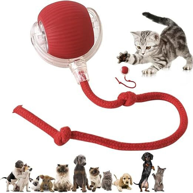 Harvic Plastic Ball For Dog & Cat