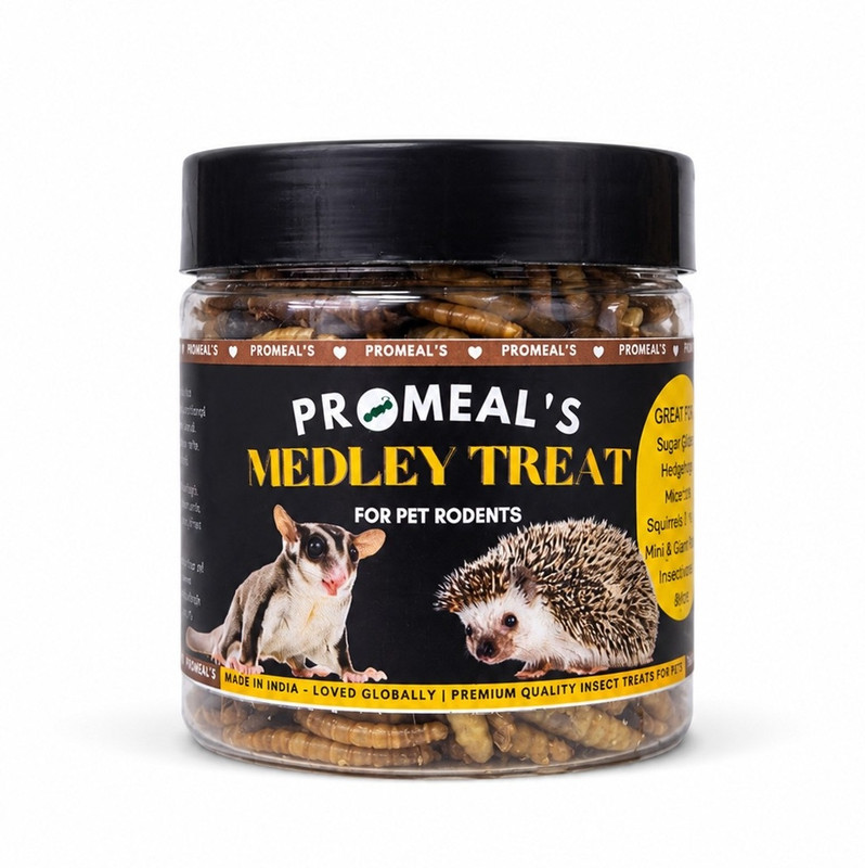 Promeal Medley Treat Insect Mix for Rodents Like Hedgehogs & Hamsters Hedgehog Treat(35 g)
