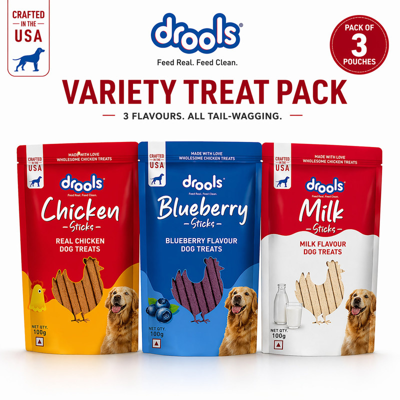 Drools Treats Sticks for Puppies & Adult Dogs, Variety Pack Milk, Chicken, Blueberry Dog Treat(300 g, Pack of 3)