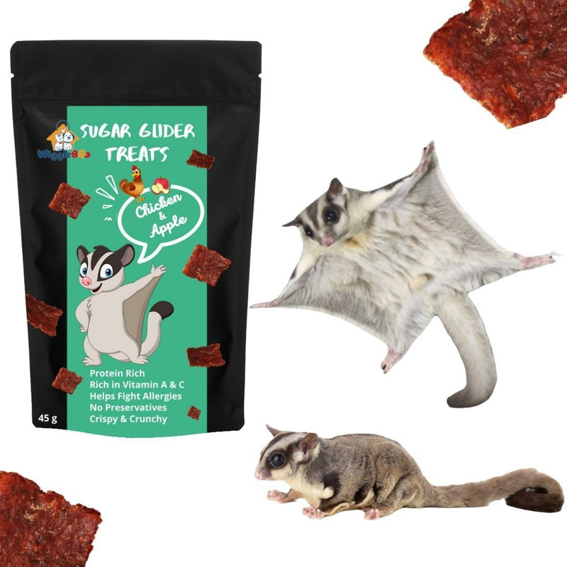 WiggleBoo Chicken & Apple Suger Glider Treat | Travel-Friendly Pack | Great Antioxidants Chicken, Fruit Guinea Pig Treat(30 g)