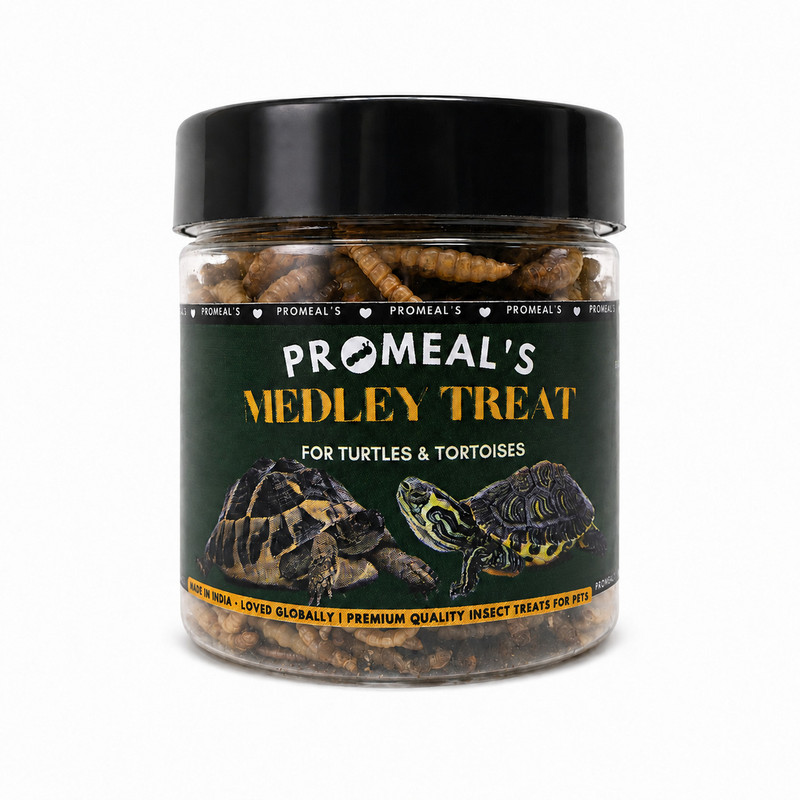Promeal Promeal Turtle & Tortoise Medley Treat | Dried Insect Supplement Turtle Treat(35 g)