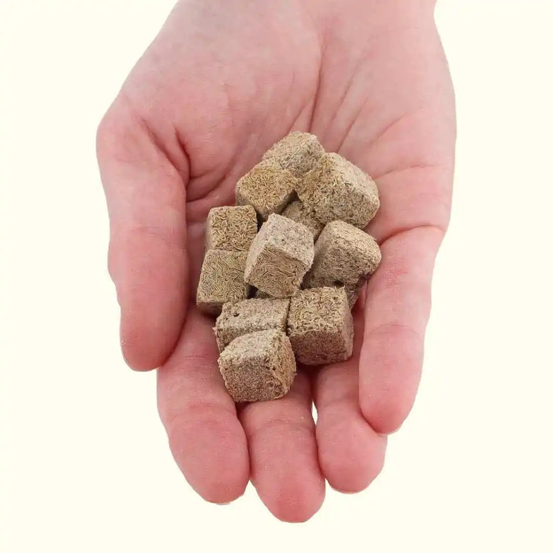 Grow Basket Dry Tubifex Fish Food Suitable for Guppy, Betta, Tetra, Oscar, Molly, Gold Fish Fish 0.04 kg Dry Adult Fish Food