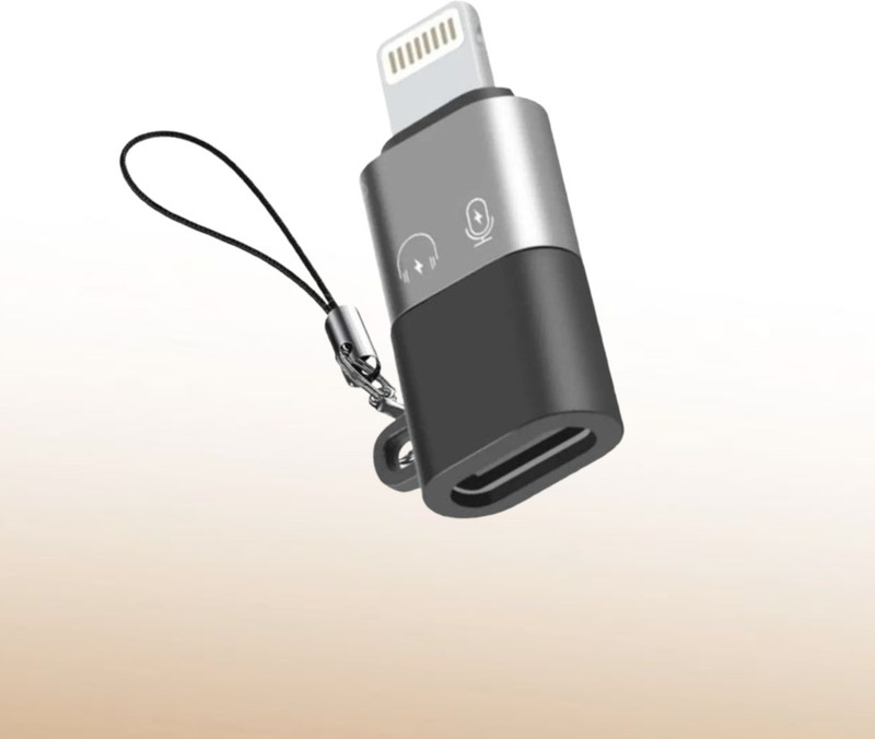 UBRONIK Grey High-Speed Lightning to USB-C Female Converter | OTG Enabled Phone Converter(IOS)