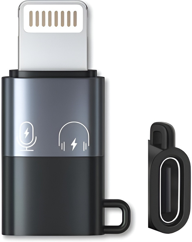 UBRONIK Grey Male Lightning Adapter Connector OTG iPhone Type C Female to Phone Converter(IOS)