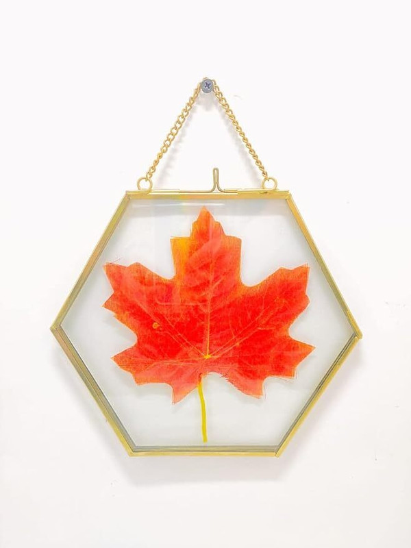 AksaCraft Hexagon frames Glass & Metal Hanging Frame/Photo-frame.(5x5) 10 inch Hexagon frames Glass(Golden)