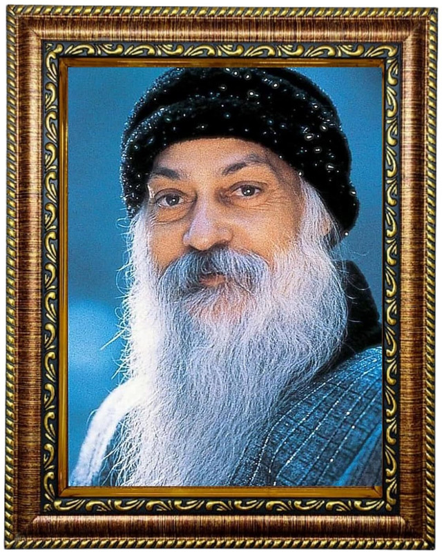 Hitech Osho's Wisdom Photo Frame 8 inch Photo Frame(Multicolor)