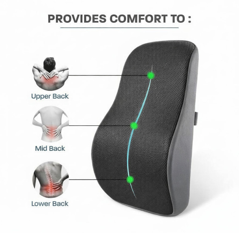 Snug Stuff GREYBACK431 Back and Spine Protector