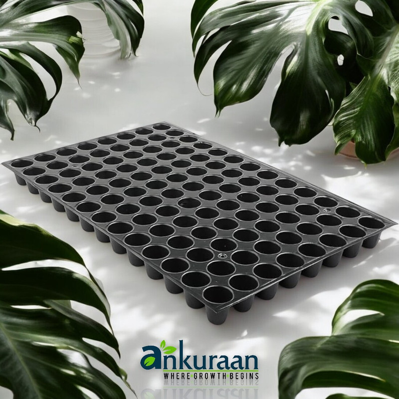 Ankuraan Germination Trays for Seedling, Nursery Trays for Plants, 104 holes Set of 6 Plant Container Set(Pack of 6, Plastic)