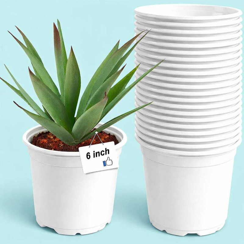 Gardeningwala 6 inch round white nursery flower plant pots Plant Container Set(Pack of 10, Plastic)