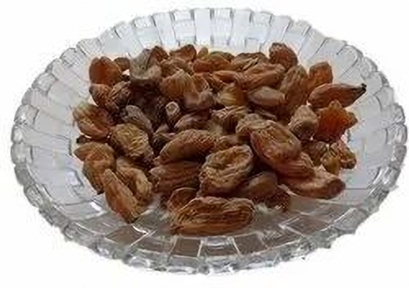 NATURE YARD Salab Misri - Salap Mishri - Salam Mishri - Seed(10 g)