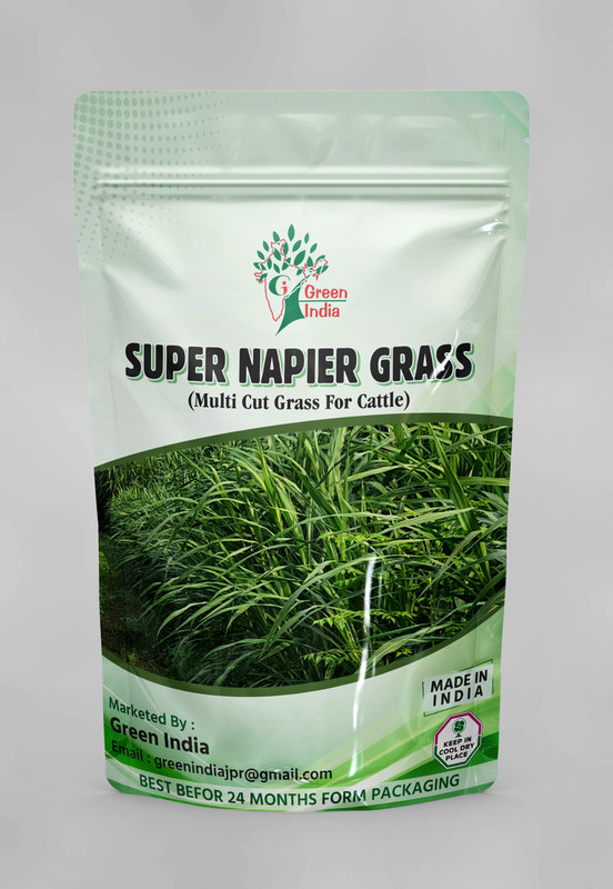 Green India SUPER NAPIER GRASS Seed (200 g) Seed(200 g)