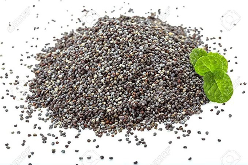 MAA Mint, Pudina, Mentha Seed(140 per packet)