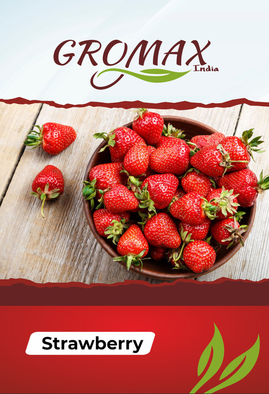 Gromax India Strawberry Hybrid Fruits Seeds for home gardening & Planting fresh fruits seeds Seed(30 per packet)