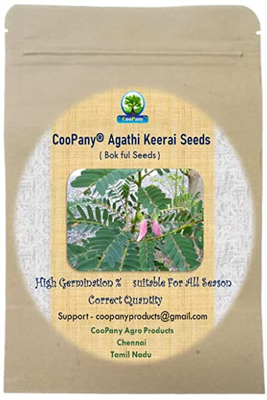 CHILLATAI Agasthi / Bokful / Agathi Keerai Seed(60 per packet)