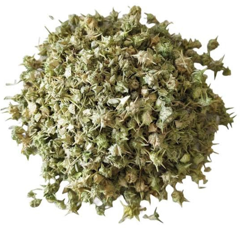 SAFRONI GOKHRU SMALL - GOKHARU CHOTA - TRIBULUS TERRESTRIS Seed(50 g)