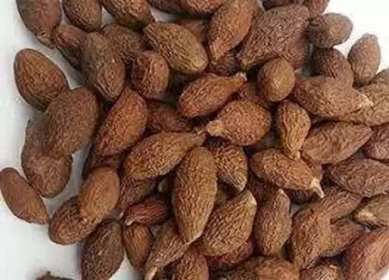 AQBP NIRANJAN PHAL_20 GM Malva Nuts, Sterculia Lychnophora, China Fruit Seed(20 g)