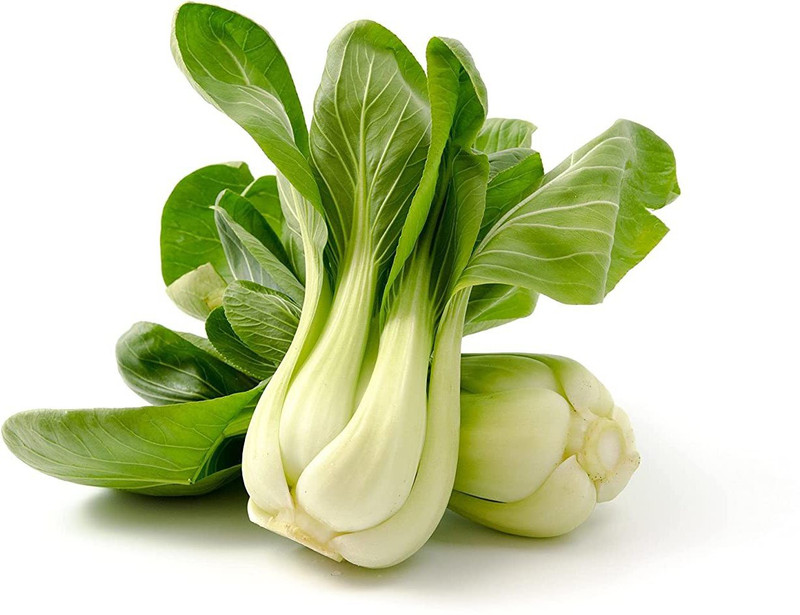 VibeX Vegetable Pak Choi (पाक चोइ) seeds For Home & Gardening Winter(2500 Seeds) Seed(2500 per packet)
