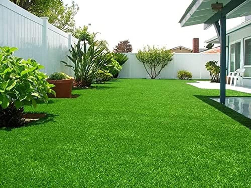 LIFELEX Premium Lawn Grass Seed(3500 per packet)
