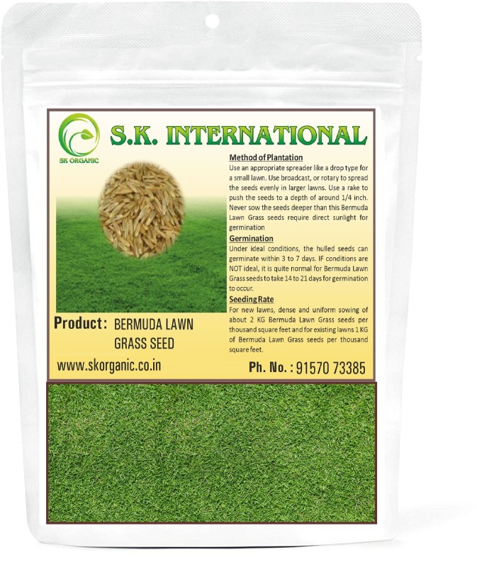 SK ORGANIC SK Organic Bermuda Lawn Grass seeds for Garden and Farmhouse Seed(500 g)