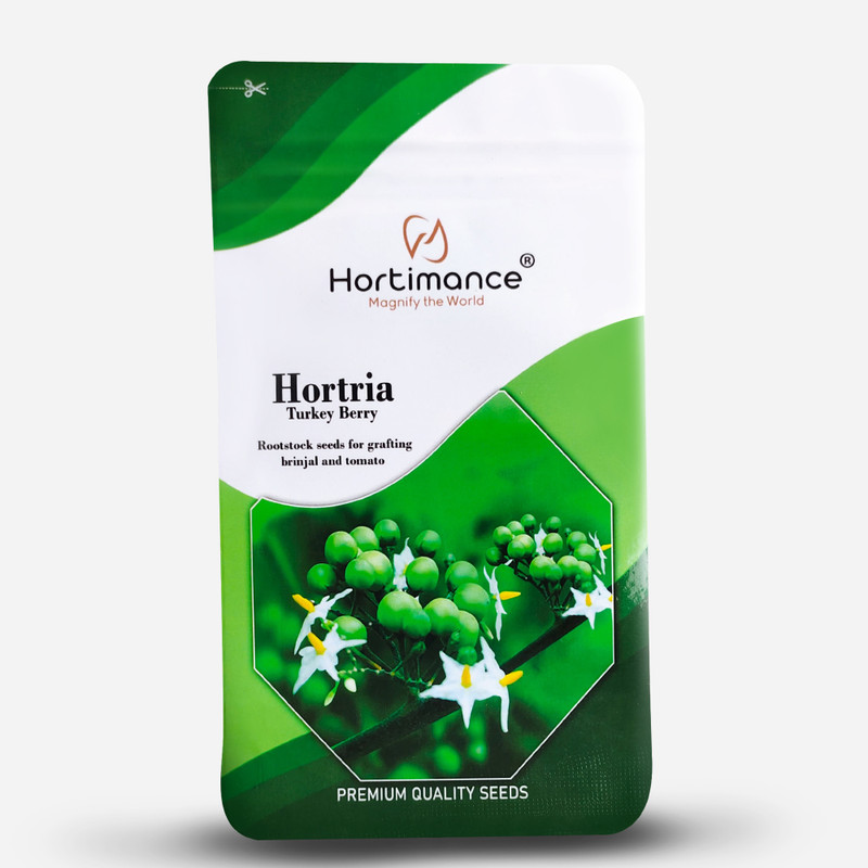 HORTIMANCE Turkey Berry seeds for grafting brinjal and tomato, contains 10000 Seed(10 g)