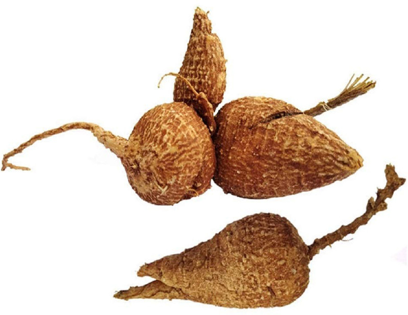 VIVETHAN Akasa garudan kilangu, Garudan kilangu, akasa garudan kizhangu, salampanja Seed(500 g)
