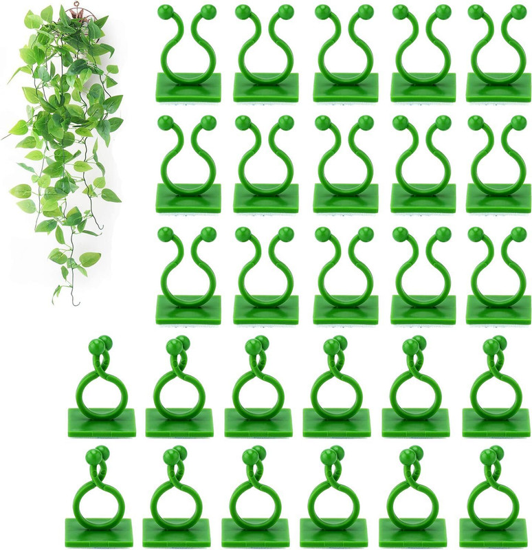Padchaaya 30Pcs Plant Climbing Wall Clip, Reusable Plant Support Clips, Money Wall Vines Plant Straightener(Pack of 30)