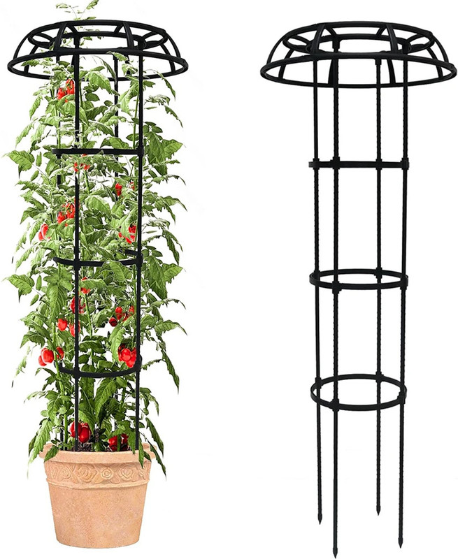 maycreate Garden Climbing Trellis Plant Support Structure Cylindrical Plant Straightener(Pack of 1)