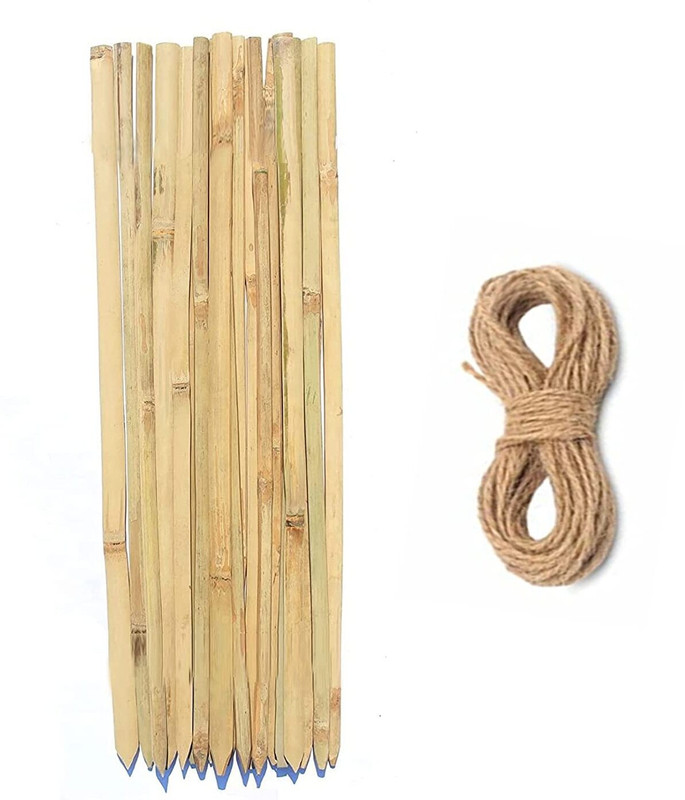 Mylife Bamboo Sticks Plank for Plants Support Stakes 2 Feet 2 Inch/ 26 Inch/ 67cm Plant Straightener(Pack of 20)