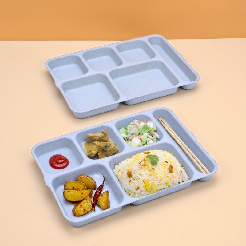 Eha Earth Friendly 6 Partition Plates for Kids | Breakfast Plates | Lunch Plates Dinner Plate(Pack of 2, Microwave Safe)