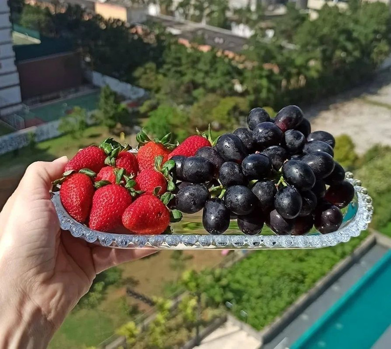 TDMM Modern Crystal Clear Oval Shape Plate Glass Tray Tray(Microwave Safe)