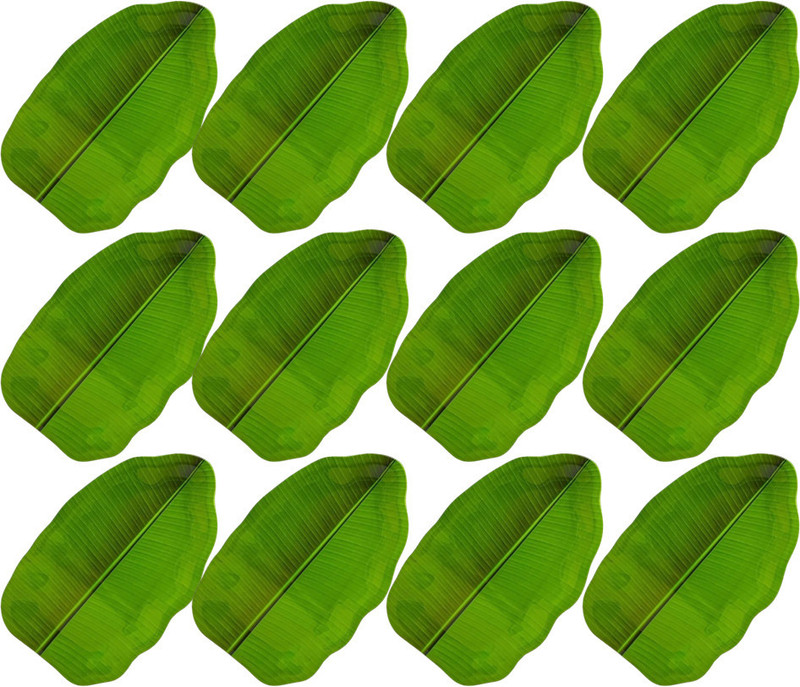CARNIVAL mela mine 7 inch beautyfull plate 12 pcs Quarter Plate(Pack of 12)