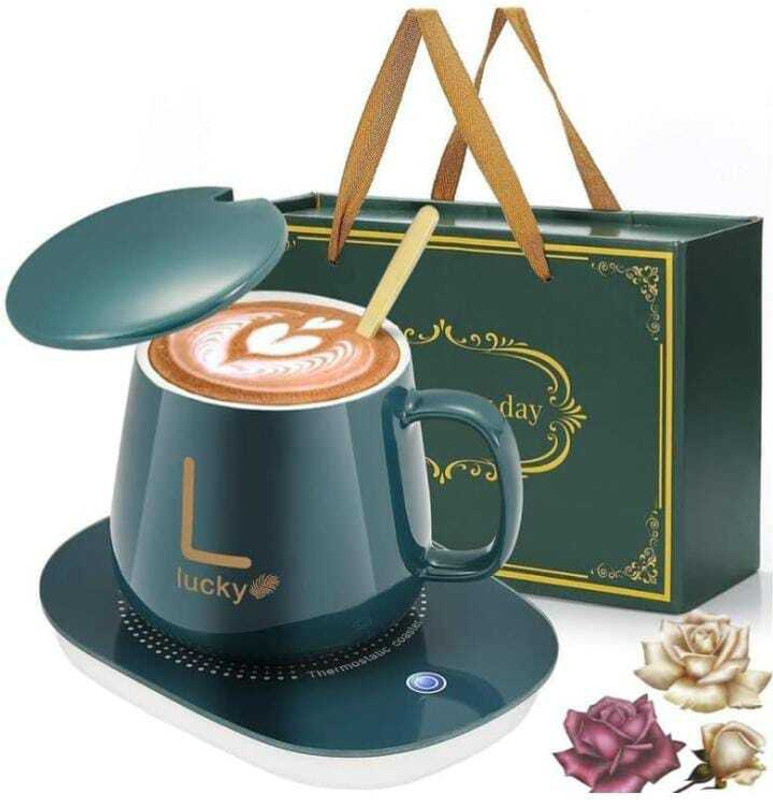 Ritesh Plate Warmer(123)