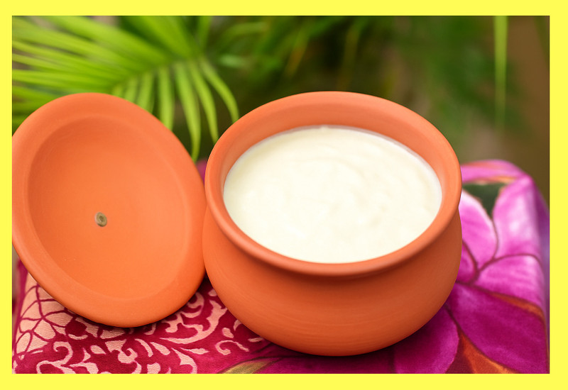 JIYA ELEGANCE CLAY CURD POT 0.5 LTR (PACK OF 1)-_HANDI0.5_9.17 Handi 0.5 L with Lid(Earthenware, Non-stick)